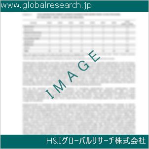 グローバルリサーチ調査資料のイメージ